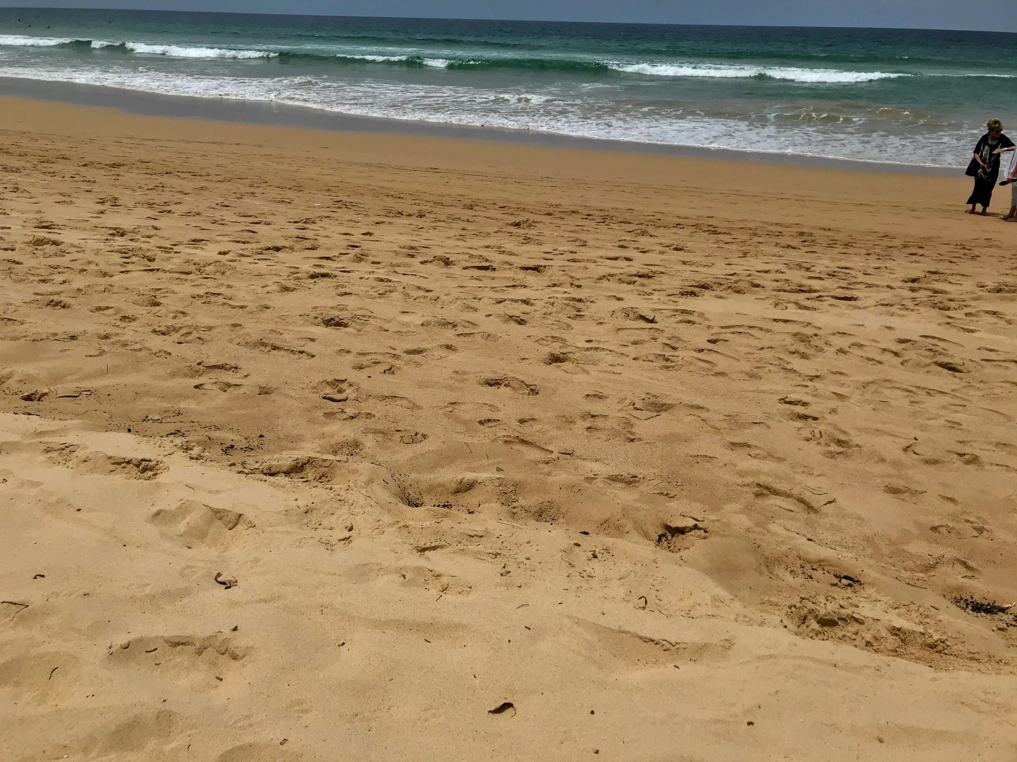 2C452C51-24D4-4097-89FA-AA18124C8416