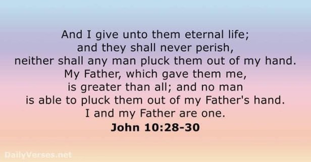 136316B8-2400-4914-AE21-53199B9F1A6E