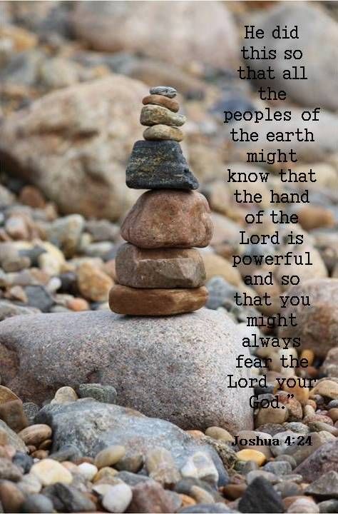 3CC81F49-D1CF-45AE-B590-8C699CE48337