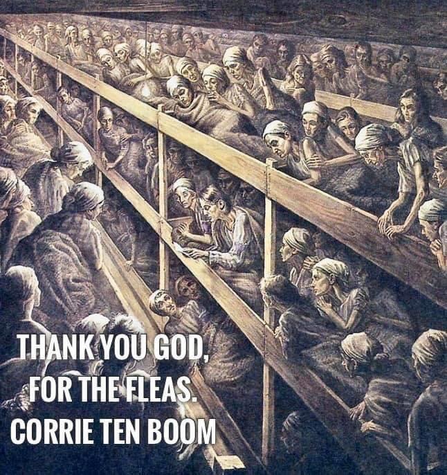 2D7537BC-0D21-4E70-938C-DF69C05FC55F