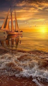 8A571C22-41F2-4D87-9330-01736250041F