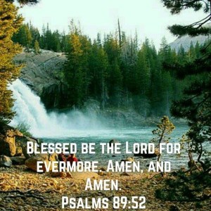 E98C442E-2C23-45D6-BA6B-EA520B351396